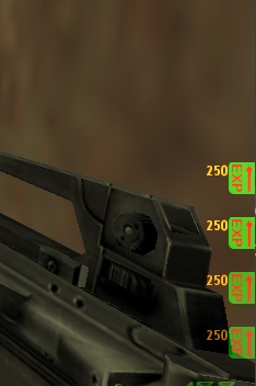 exp.jpg