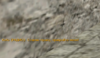 screenshot 2020-09-10 35 57 002.png