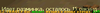 45454554454.png
