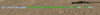 56565656.png