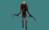 zm2.png