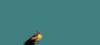 Screenshot_1.png