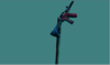 Capture.PNG