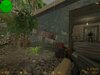 cs_junglecamp_cz - 6.jpg