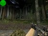 de_dod_forest - 4.jpg
