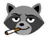 coolracoon.png