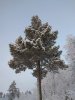 IMG_20180203_135836.jpg
