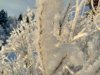 IMG_20180203_142441_HDR.jpg