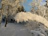 IMG_20180203_142457_HDR.jpg