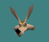 Coyot.png