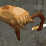 GHW Pet Followers