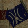 Simple Capture the Flag