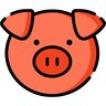 Pig model