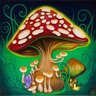 Magic Mushrooms
