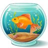Aquarium_dd2